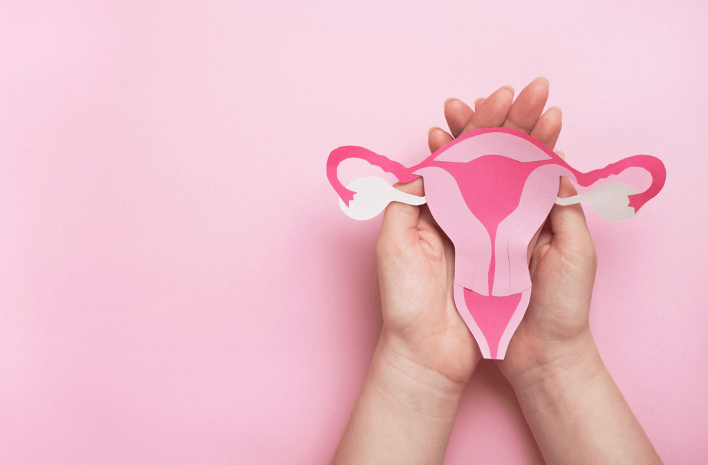 What Is Cervical Mucus and How Does It Affect Menstrual Blood? - The S’moo Co